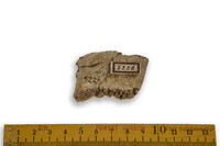 F 05226
<br/>
<br/>
<em></em>